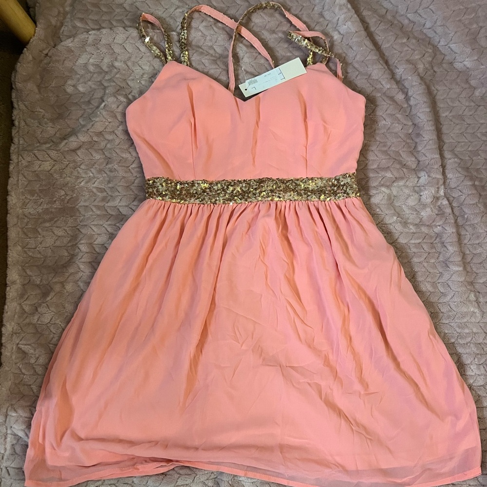 NWT Peachy pink party dress
